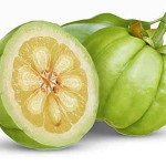 garcinia-cambogia-photo